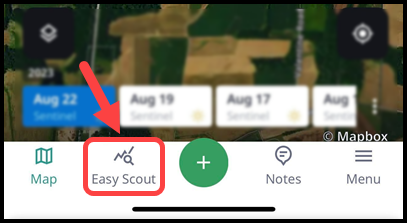 1. Easy Scout Priorities.jpg