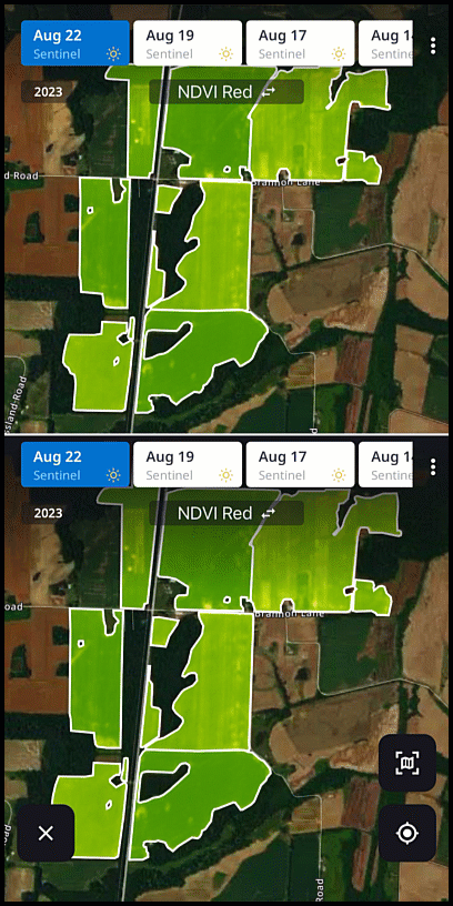 4. Side x Side Variability View - smaller.gif